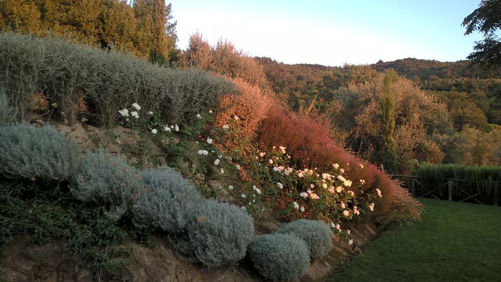 Piccolo Relais Galletto Di Marzo Spa E Relax Solo Per Due Paciano Exterior photo